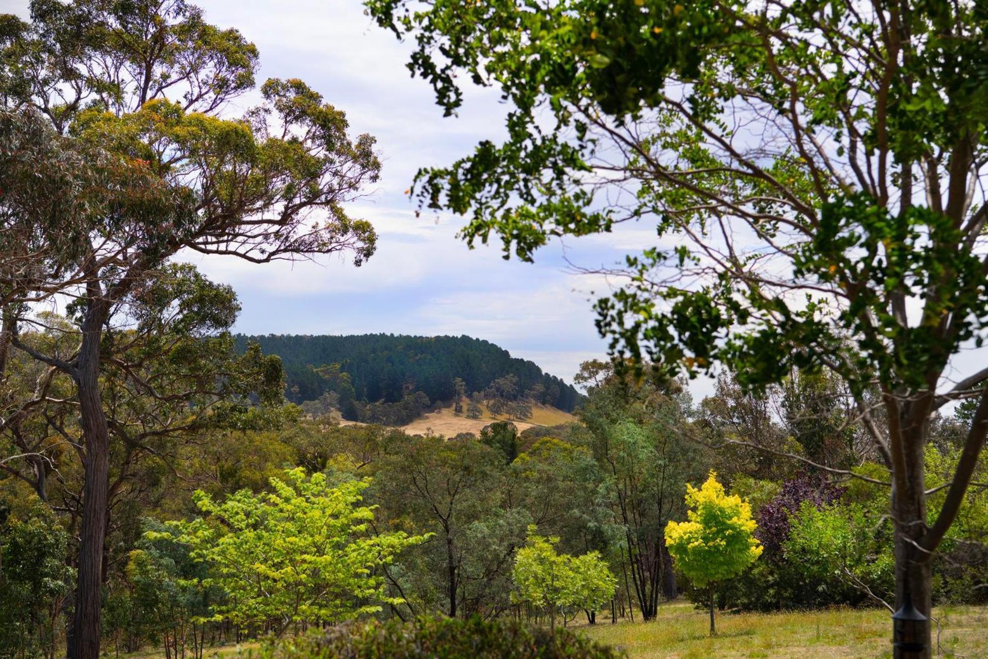 Holiday home Margies On Mt Franklin 8 Minutes From Daylesford